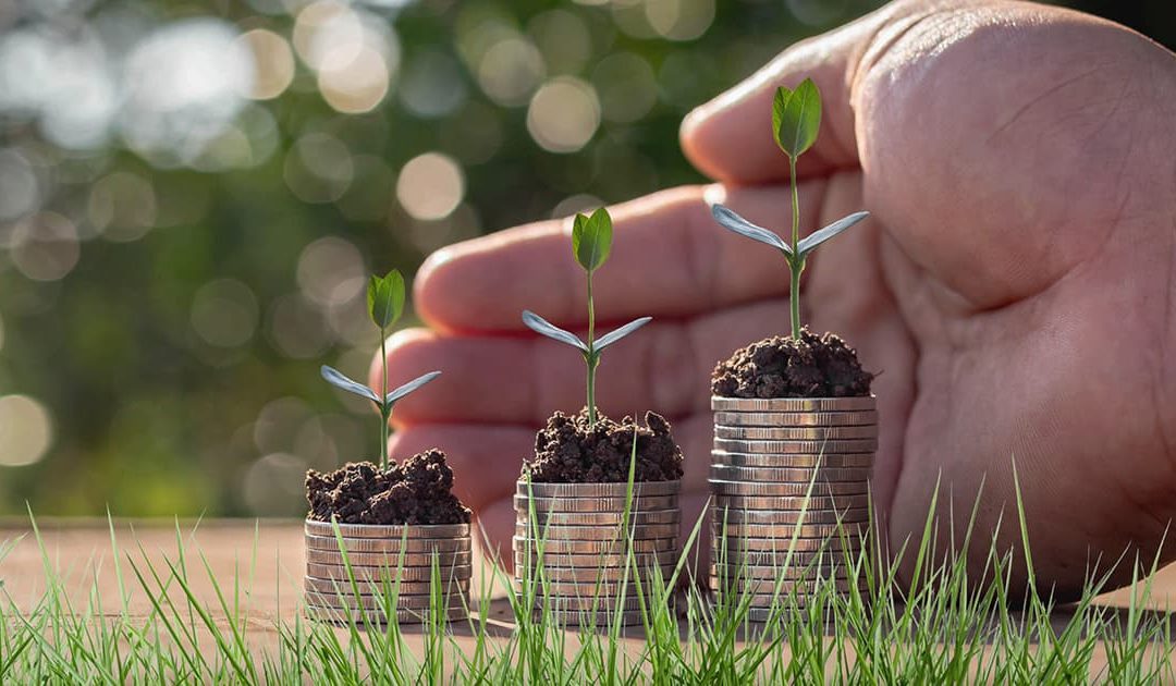 Divulgada a regulamentação para Fundos de Investimento voltados ao Agronegócio